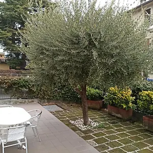 Almerina Apartment